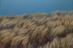 Grasses 11. Canvas, oil. 24 x 30 cm. 2023